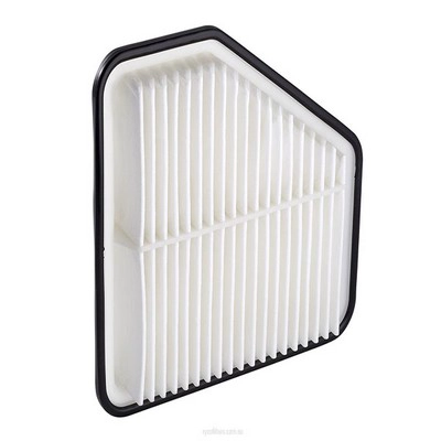 Air Filter (RY-A1558)