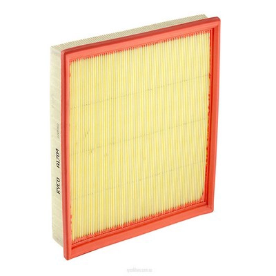 Air Filter (RY-A1704)