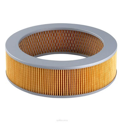 Air Filter (RY-A216)