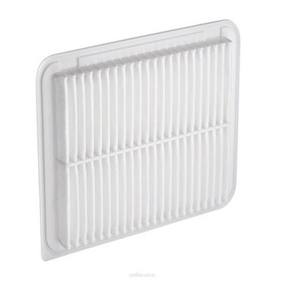 Air Filter (RY-A1569)