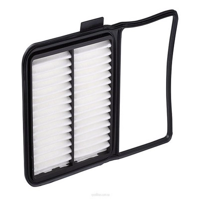 Air Filter (RY-A1617)