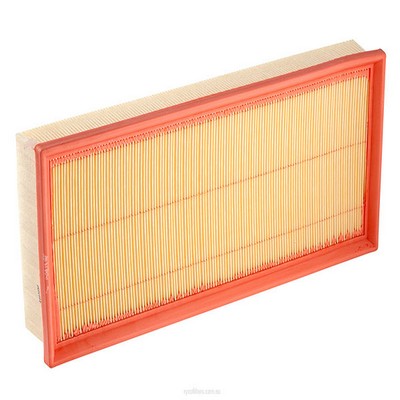 Air Filter (RY-A1680)