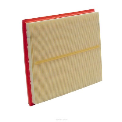 Air Filter (RY-A1849)