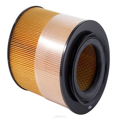 Air Filter (RY-A1387)