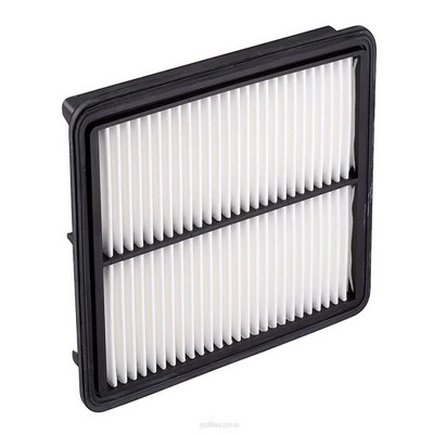 Air Filter (RY-A1730)