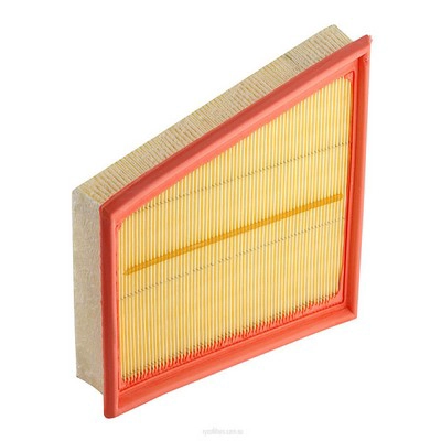 Air Filter (RY-A1702)