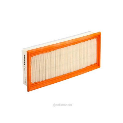 Air Filter (RY-A1886)