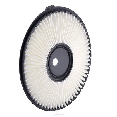 Air Filter (RY-A1211)