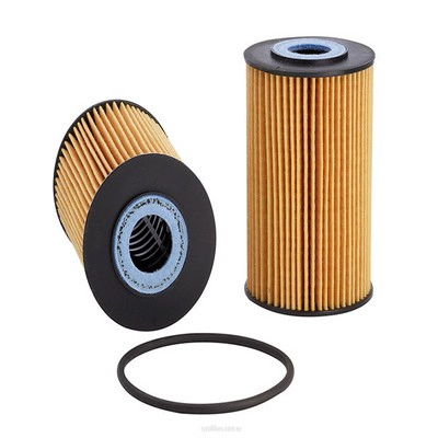 Oil Filter (RY-R2593P)