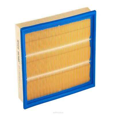 Air Filter (RY-A1360)