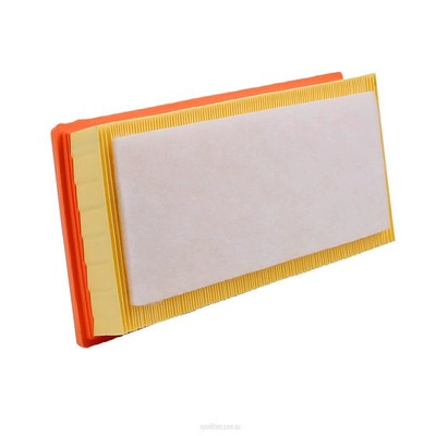 Air Filter (RY-A1791)