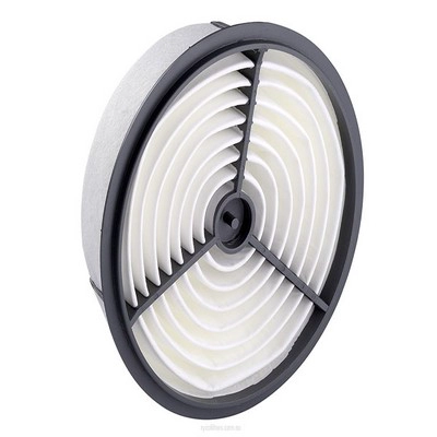 Air Filter (RY-A455)