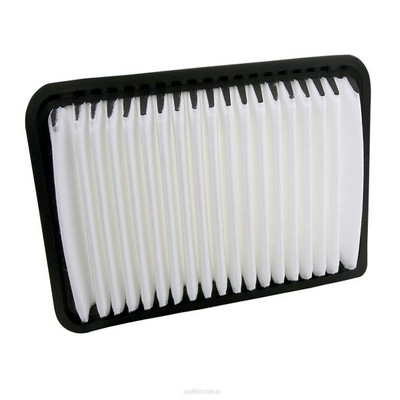 Air Filter (RY-A1781)
