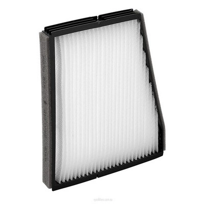 Filter, cabin air (RY-RCA124P)