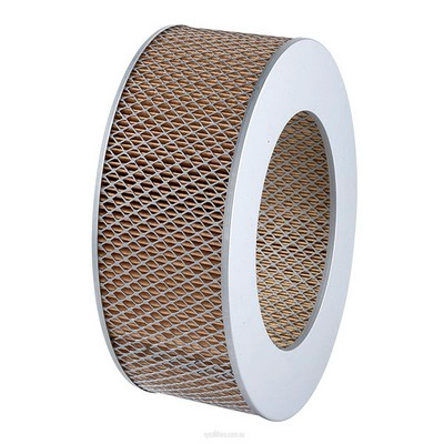 Air Filter (RY-A445)