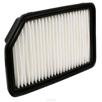 Air Filter (RY-A1783)