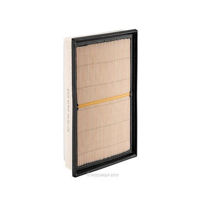 Air Filter (RY-A1943)
