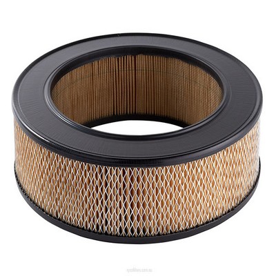 Air Filter (RY-A258)