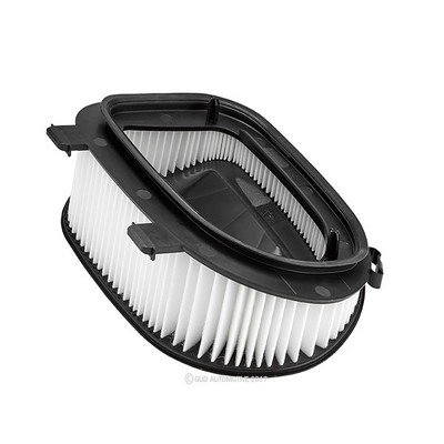 Air Filter (RY-A1868)