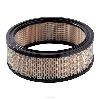 Air Filter (RY-A55)