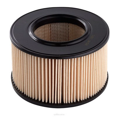 Air Filter (RY-A417)