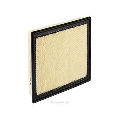 Air Filter (RY-A1876FG)