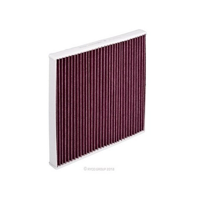 Filter, cabin air (RY-RCA379MS)