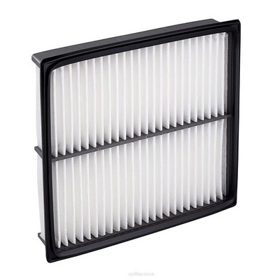 Air Filter (RY-A1523)