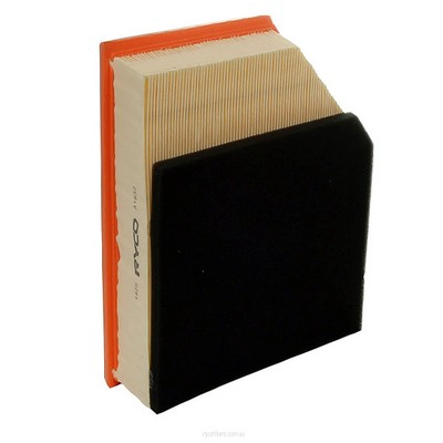Air Filter (RY-A1832)
