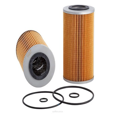 Oil Filter (RY-R2383P)
