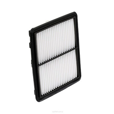 Air Filter (RY-A1814)