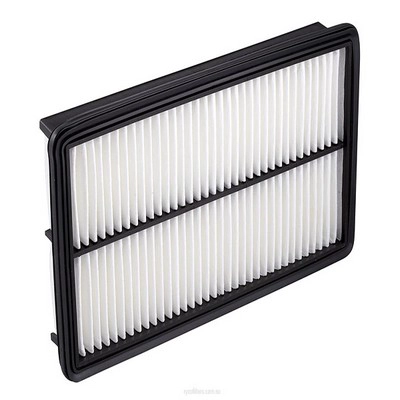 Air Filter (RY-A1429)