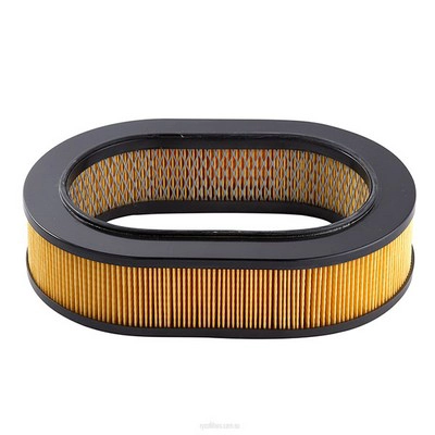 Air Filter (RY-A341)