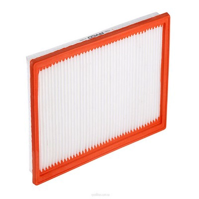 Air Filter (RY-A1599)