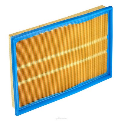 Air Filter (RY-A1432)