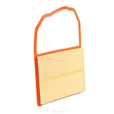 Air Filter (RY-A1821)