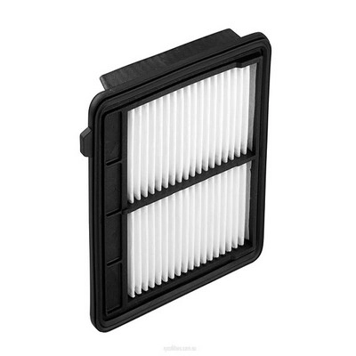 Air Filter (RY-A1770)
