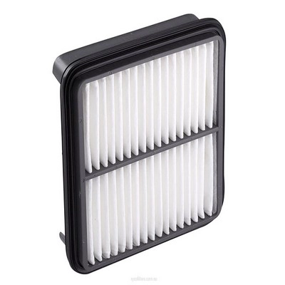 Air Filter (RY-A1267)
