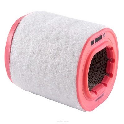 Air Filter (RY-A1697)