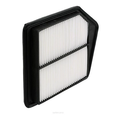 Air Filter (RY-A1824)