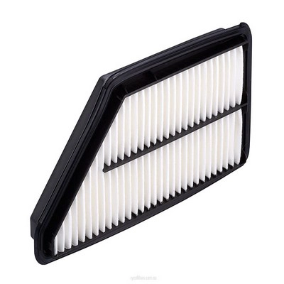 Air Filter (RY-A1261)