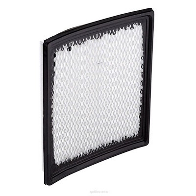 Air Filter (RY-A1753)