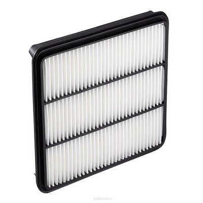 Air Filter (RY-A1522)