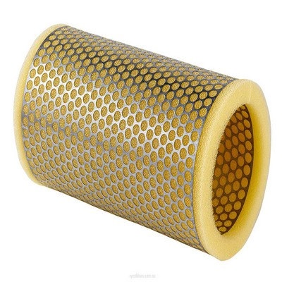 Air Filter (RY-A1691)
