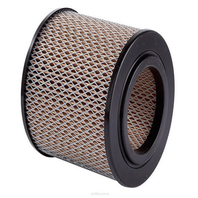 Air Filter (RY-A333)