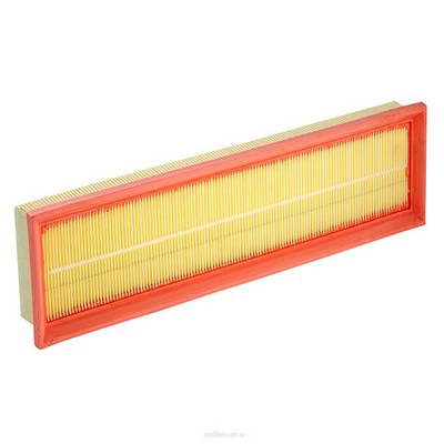 Air Filter (RY-A1695)