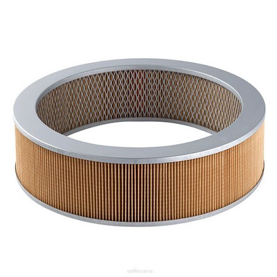 Air Filter (RY-A355)