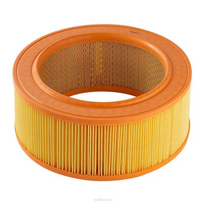 Air Filter (RY-A1669)