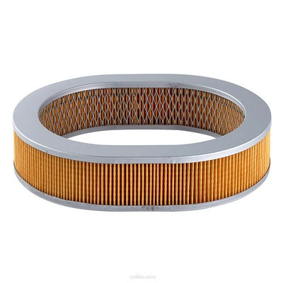 Air Filter (RY-A313)