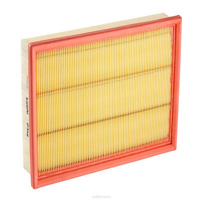 Air Filter (RY-A1554)